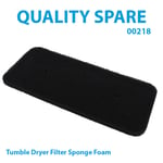 Tumble Dryer Sponge Filter HOOVER DX H11A2TCEXM-S DX H85TCEX-AUS DX H8A2TCEX-01