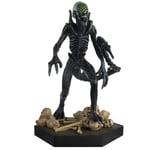 Grid Xenomorph (Apben003-Z3) 1:16 Eaglemoss Alien & Predator Figurine Collection