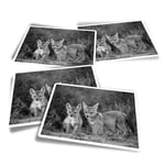 4x Rectangle Stickers - BW - Jackal Dog Wolf Coyote Puppy #35335