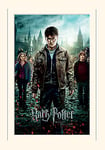 Pyramid International Harry Potter (Deathly Hallows Part 2) -Mounted Print Memorabilia 30 x 40cm, Paper, Multicoloured, 30 x 40 x 1.3 cm