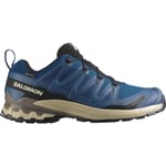 Salomon Mens XA Pro 3D V9 GTX (Blå (POSEIDON/WHITE PEPPER/FALCON) 46 2/3)