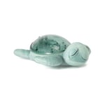 Veilleuse tortue aquatique rechargeable Cloud B Vert