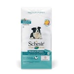 Schesir, Aliments secs pour Chiens Chiots de Taille Moyenne au goût du Poulet, en croquettes - Format Sac de 12 kg