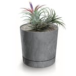 Botle Pot De Fleur Rond Gris Plastique Beton Effect Cache Pot 37,5 Cm Decoratif Bac A Plantes Avec Soucoupe Fleurs