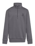 Adicolor Half-Zip Sweatshirt Sport Sweat-shirts & Hoodies Sweat-shirts Grey Adidas Originals
