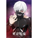 Tokyo Ghoul - Kaneki multifärg