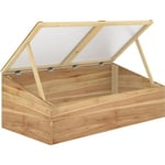 Mini serre de jardin serre pour semis 100L x 50l x 36H cm toit 2 pans ouvrables séparément panneaux de polycarbonate sapin pré-huilé