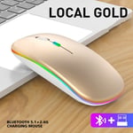 Mute 2 4g Bluetooth mode light emitting version tuhao gold Souris sans fil aste RVB, souris d'ordinateur, rétroéclairage LED, ergonomique, jeu, ordinateur portable, PC ""Nipseyteko