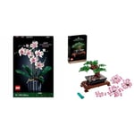 LEGO 10311 Icons Orchid Artificial Plant Building Set with Flowers & 10281 Icons Bonsai Tree Set for Adults, Home Décor DIY Projects, Relaxing Creative Activity Gift Idea, Botanical Collection