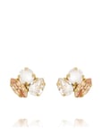 Caroline Svedbom Ana Earrings Gold Guld