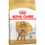 Hundfoder Royal Canin Poodle Adult 7,5kg