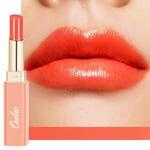 Oulac Rouge à Lèvres Corail Juteux et Brillant, Soin Pour Les Lèvres, Hydrate les Lèvres Sèches, Gercées et Abîmées, Rouge a Levre et Baume a Levre 2 in 1, Vegan (12) Orange Shock!