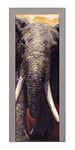 Decoralive Elephant Image de Porte 73 cm x 211