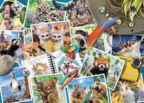 Ravensburger Traveller's Animal Journal 1000 Piece Jigsaw Puzzles for Adults and Kids Age 12 Years Up