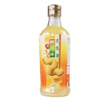 LION & GLOBE PEANUT OIL - 600ML