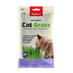 Cat Grass Refill