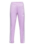 U Tr-Es 3S Pant Pink Adidas Performance