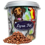 Lyra Pet - 10 kg de cacahuètes ® avec peau Nouvelle récolte en bac de 30 l