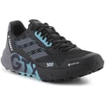 Chaussures adidas  Terrex Agravic Flow 2 Gtx