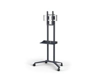 NEC PD04-Tipster Mobile Trolley | Fixed 1692mm | VESA 200x100-400x400 | Max 50kg | Grey