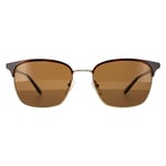 Salvatore Ferragamo Square Mens Havana Shiny Gold With Black Brown Sunglasses - One Size