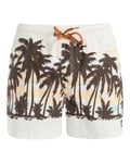 Quiksilver Boardshort Everyday Straight Volley 15 Homme Blanc XS