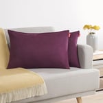 Blumtal Lot de 2 Housses de Coussins 40x60 Violet - Housses de Coussins en Chenille douillettes avec Fermeture éclair cachée, certifiée Oekotex, pour Coussins de décoration et de canapé