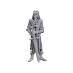 WizKids Dungeons & Dragons Nolzur's Marvelous Miniatures : Skeleton  (US IMPORT)