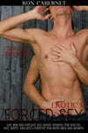 Erotica Forced Sex : GAY MM AND EXPLICIT SEX SHORT STORIES FOR ADULTS—HOT, DIRTY, AND SEXY CONTENT FOR BOTH MEN AND WOMEN—A WORLD OF UNEXPECTED SEXUAL EXPERIENCES