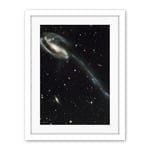 Artery8 Hubble Space Telescope Image The Tadpole Spiral Galaxy Gravitational Forces Pair Collision Create Long Tail Gas Blue Star Birthing Debris Artwork Framed Wall Art Print 18X24 Inch