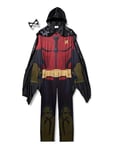 Rubie's 884821 Men's DC Robin Arkham City Costume, Large, CHEST 42 - 44", WAIST 34 - 36", INSEAM 33" Halloween