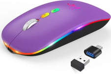 Souris Bluetooth Ipad, Rgb Souris Sans Fil Rechargeable, Avec Récepteur Usb, Silencieuse, Bt 5.1+2.4G Deux Modes Disponibles, 1000-1600 Dpi Réglable Pour Mac Os/Windows/Andriod/Microsoft