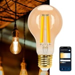 Aigostar Edison Ampoule Connectée Alexa E27 6W LED Ampoules Vintage WiFi A60 Ampoule Intelligent Retro, Compatible avec Alexa et Google Home, Dimmable 2700K-6500K, Ambre 1 Unité