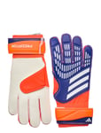 Adidas Performance Predator Goalkeeper Gloves Training Multi/patterned