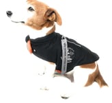 Alpha Industries Dog MA-1 Nylon Flight Jacket Veste d'aviateur pour Chiens Black