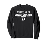 Promoted To Great Granny 2025 Funny For New Great Granny Sweatshirt