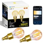 Aigostar Ampoule Connectée Alexa, Ampoule LED E14 Edison, G45 Ambre Ampoule Vintage WIFI, 4.5W 470LM, Blanc Chaud Dimmable 2700K -6500K, Compatible Alexa et Google Home, 2 Unités