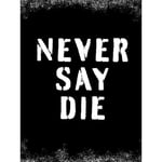 Artery8 Gym Motivation Never Say Die Inspirational Positive Exercise Decor Workout Living Room Aesthetic Large Wall Art Poster Print Thick Paper 18X24 Inch