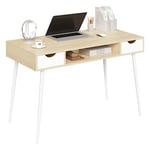 WOLTU Bureau d'ordinateur avec 2 tiroirs, 120x58 cm, Table de Bureau en métal et Bois, Table de Travail avec 1 Compartiment Ouvert, PC Table, Chêne