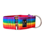 Galguita Amelie, 5 cm Largeur Taille L (40 cm - 49 cm) Collier pour Chien Anti-échappement. Arc-en-Ciel.