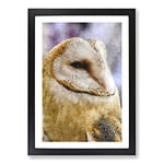 Big Box Art Barn Owl Vol.4 Painting Framed Wall Art Picture Print Ready to Hang, Black A2 (62 x 45 cm)