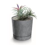 Botle Pot De Fleur Rond Gris Plastique Beton Effect Cache Pot 28,3 Cm Decoratif Bac A Plantes Avec Soucoupe Fleurs