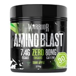 Warrior Amino Blast 270g – BCAA Powder – Branched Chain Amino Acids Supplement, Intra Workout & Recovery, Energy Drink – 30 Servings (Sour Apple)