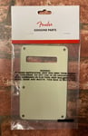 Fender Mint Green Stratocaster Backplate, USA American 3-Ply Strat Trem Cover