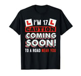 Driving Lessons Learner Driver 17th Birthday Im 17 Today T-Shirt