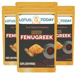 Lotustoday Fenugreek Tea 100 Tea bags pure Methi Detox Diabetic herbal Tea bags