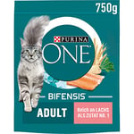 PURINA ONE BIFENSIS Nourriture sèche pour Chat Adulte, Riche en Saumon, Lot de 6 (6 x 750 g)