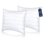 COZSINOOR Oreiller 65x65 cm Lot de 2, Qualité Hotellerie de Luxe Oreiller Lot de 2 Oreillers Confort Moelleux Hypo Allergéniques Anti Acariens d'oreiller pour Dormeurs sur Le Dos Le Côté Le Ventre