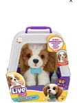 Little Live Pets My Really Real Puppy: Patches The Beagle CHRISTMAS 2024 NEW