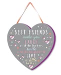 Best Friends Make You Laugh Hanging Plaque With Ribbon More Than Words Gift